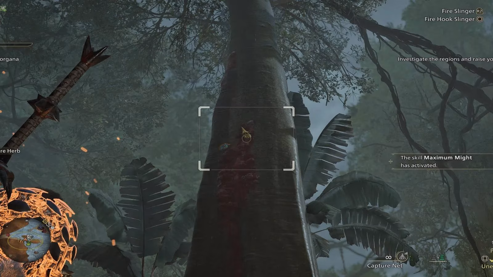 catching-gold-hercudromes-in-monster-hunter-wilds-a-hunter-s-guide-image-0