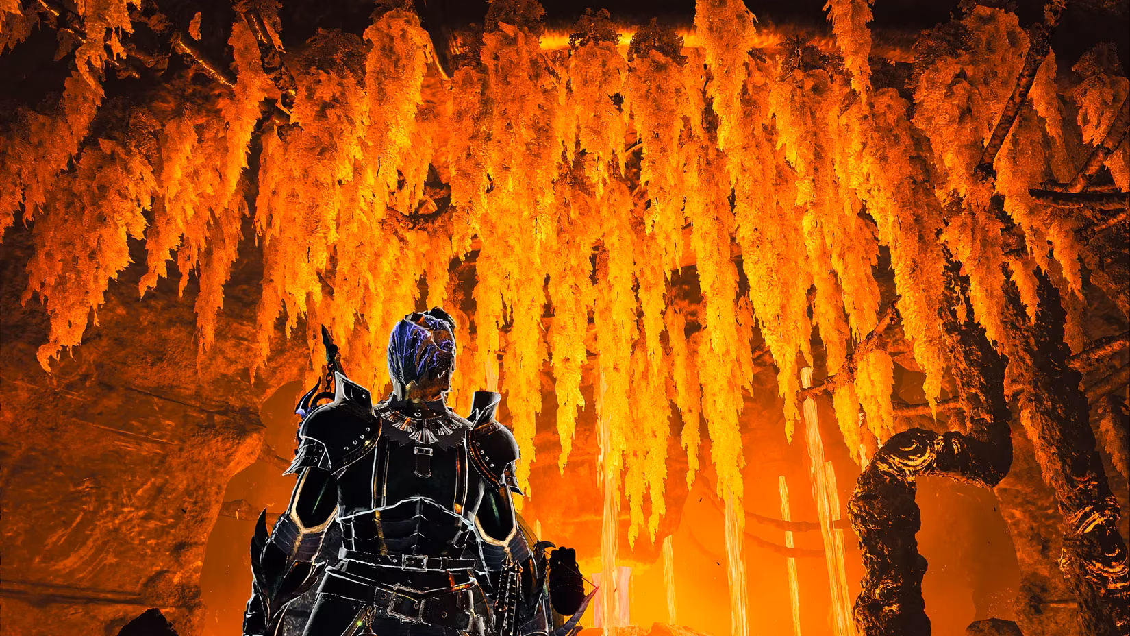monster-hunter-wilds-how-to-spawn-and-capture-rare-nu-yaya-image-1
